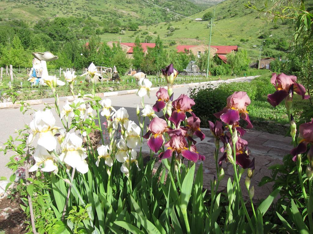Lucytour Hotel Hermon Екстер'єр фото